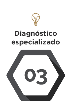 Diagnóstico especializado