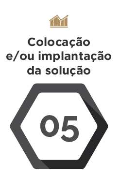 Colocação e/ou implantação da solução